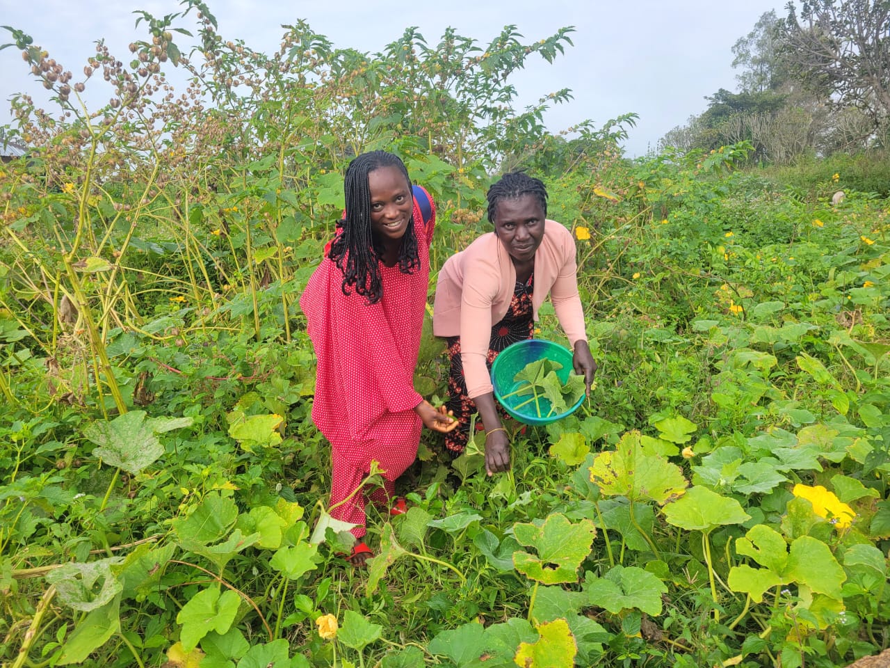 Food Security